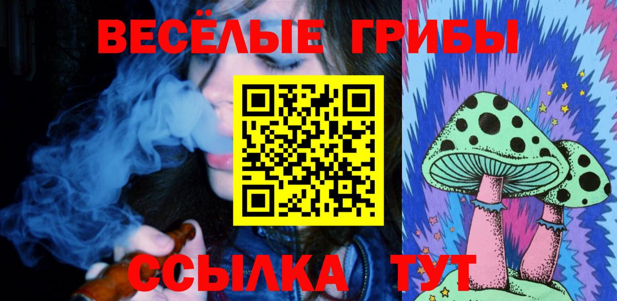 Псилоцибиновые грибы Psilocybe Кисловодск