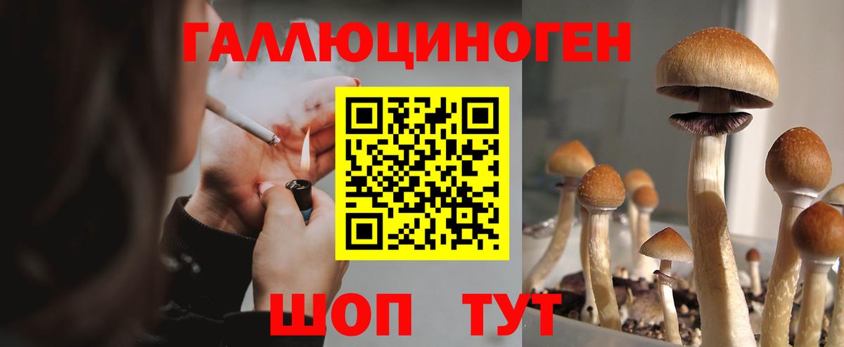 Кисловодск  Галлюциногенные грибы прущие грибы  Вход с VPN 
